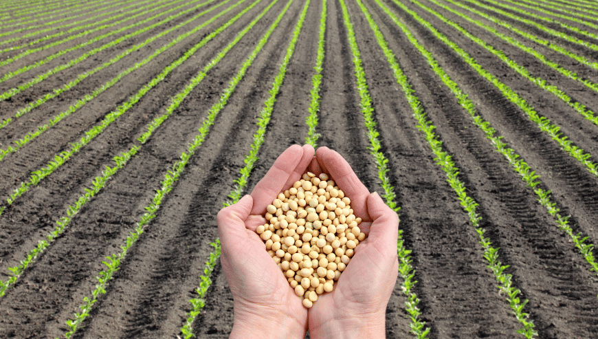 Agriculture and environment