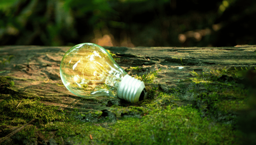 Sustainable development