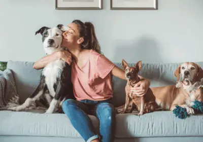 Sito web di pet-sitting in vendita