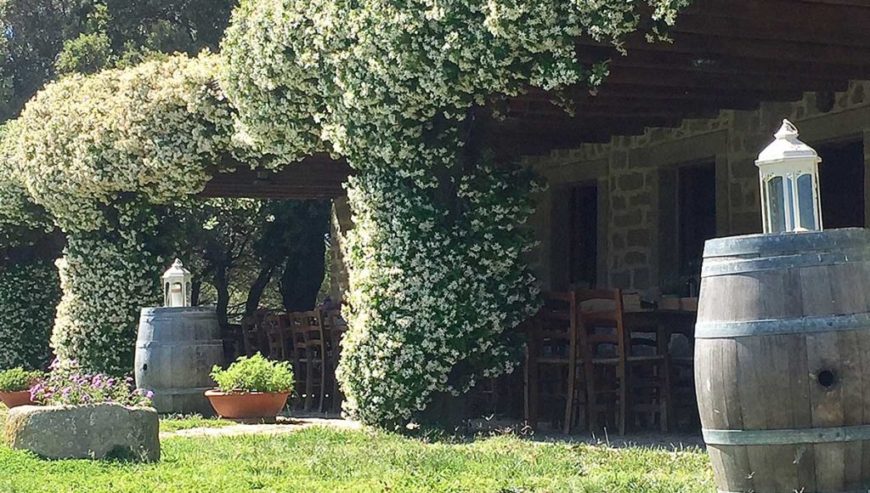 À vendre : importante et renommée entreprise viticole en Sardaigne