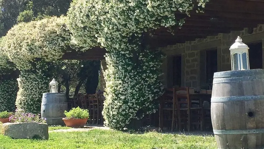 À vendre : importante et renommée entreprise viticole en Sardaigne