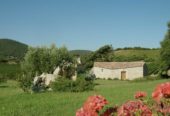 À vendre : importante et renommée entreprise viticole en Sardaigne