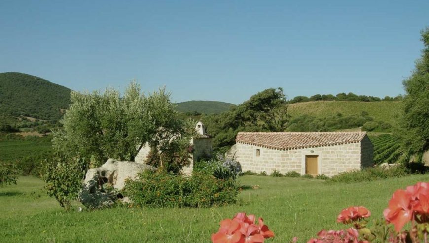 À vendre : importante et renommée entreprise viticole en Sardaigne