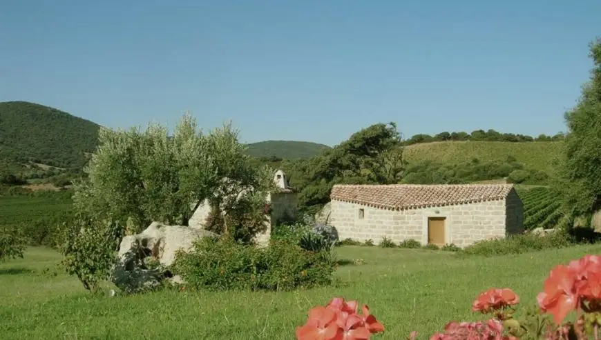 À vendre : importante et renommée entreprise viticole en Sardaigne