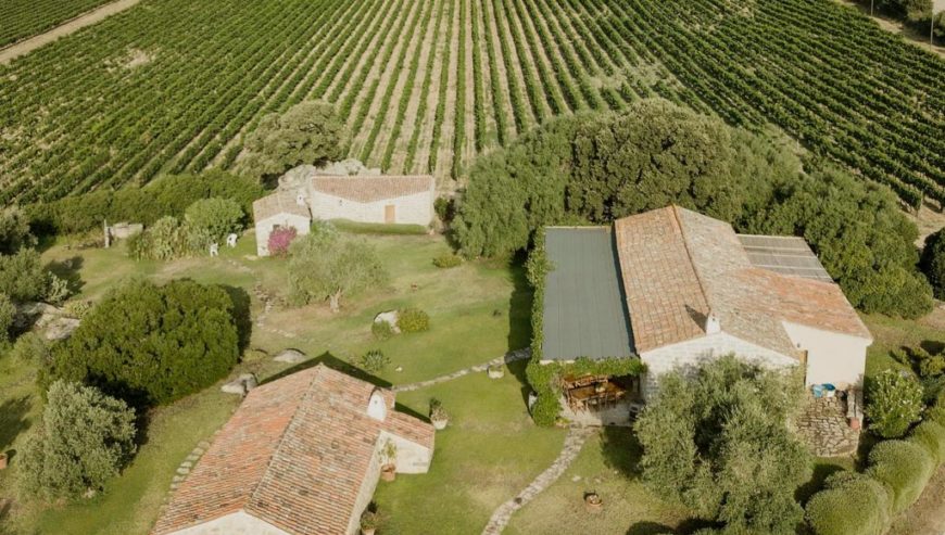 For sale: large and renowned wine company in Sardinia