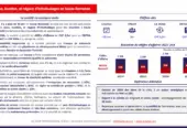 Pose, Location, et Négoce d’Echafaudages en Suisse Romande