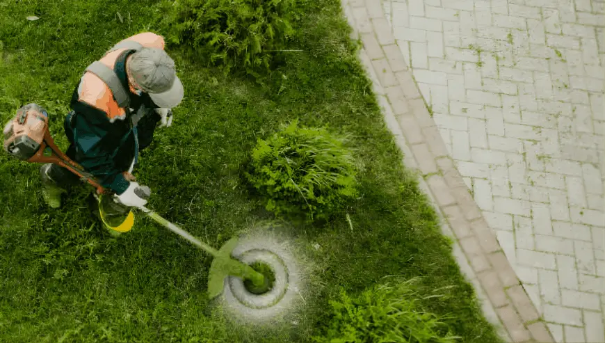 Gardening company with a minimum annual turnover of €60,000 / 1 employee and €50,000 in assets