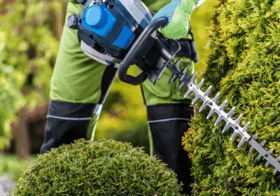 Societe-suisse-de-services-paysagistes-et-vente-horticole-a-ceder