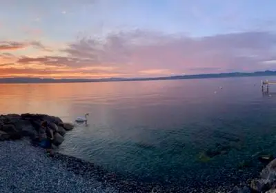 76d697a9-194c-4ec6-b93c-ab4adb78039a