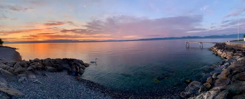 HOTEL RESTAURANT BRASSERIE AU BORD DU LAC LEMAN