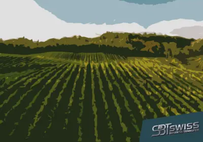 azienda_sett-prim_colore_03b